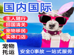 东河空运代理国际宠物托运 【国